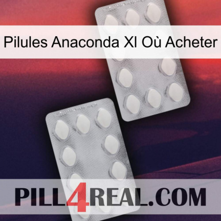 Pilules Anaconda Xl Où Acheter 17